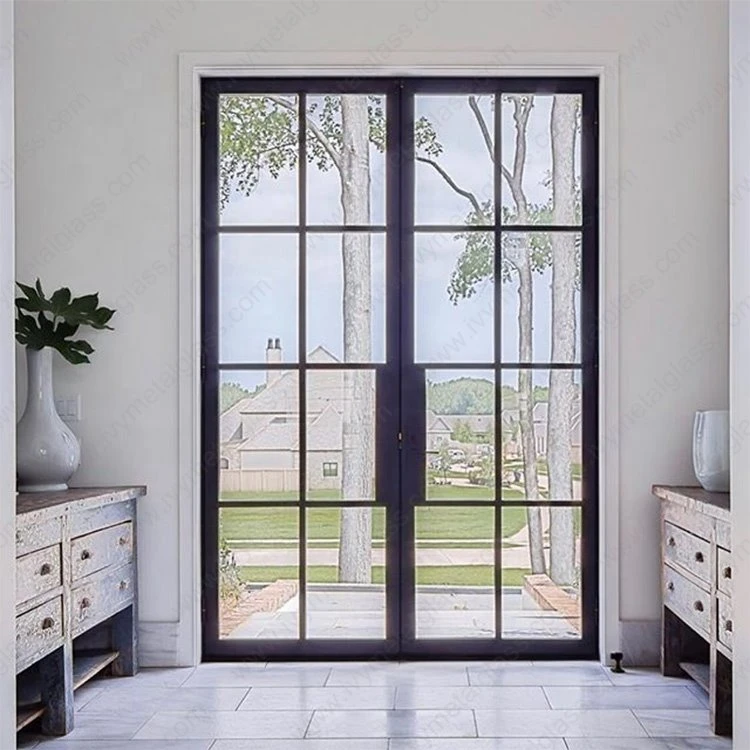 Double Hinged Aluminum Door